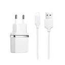 Зарядка USB / 5V 1A + кабель MicroUSB белый для Ulefone Power